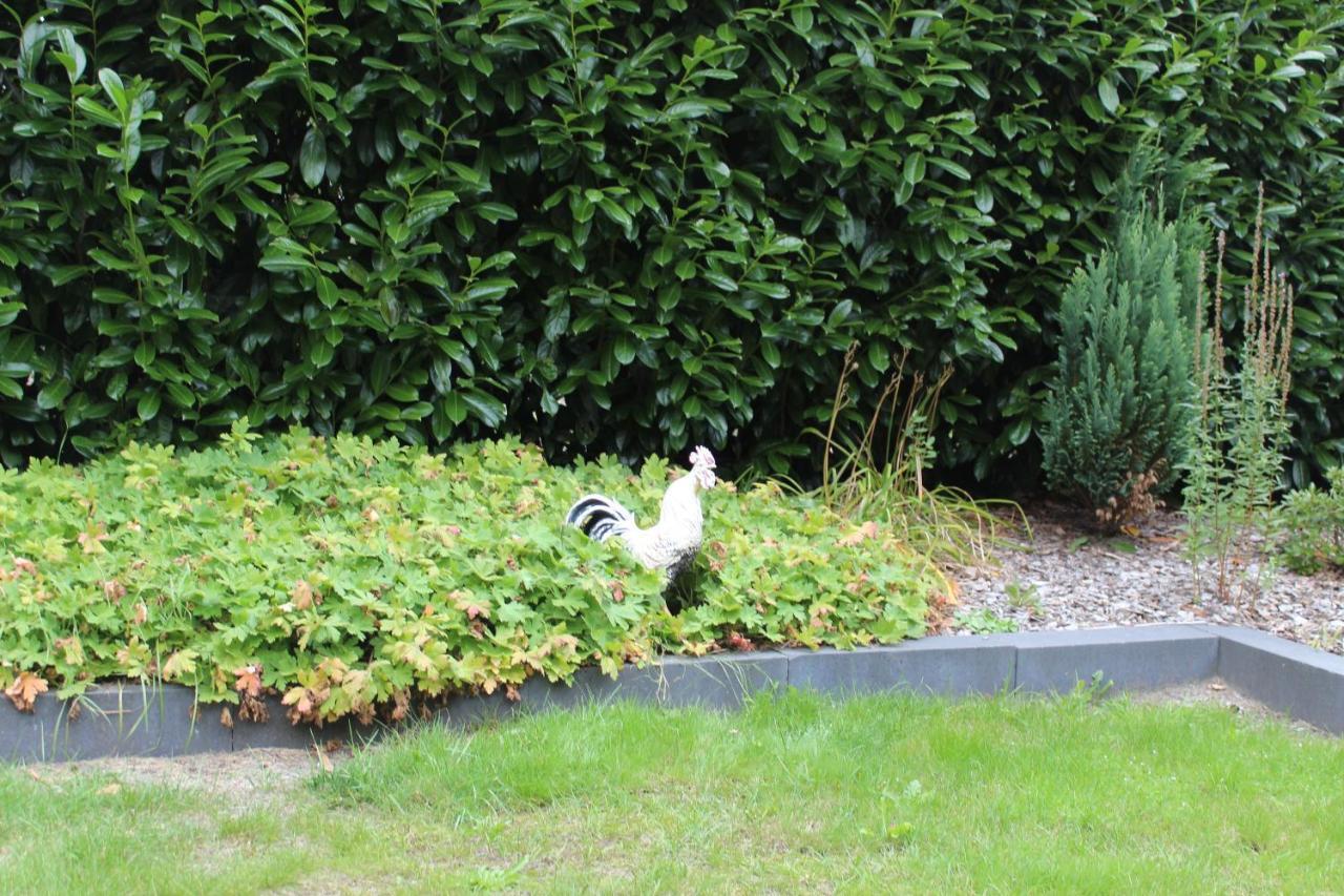 B&B Nieuwleusen ภายนอก รูปภาพ